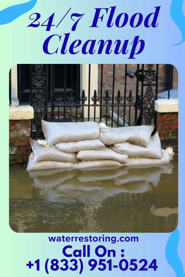 24/7 Flood Cleanup in North Escobares, TX