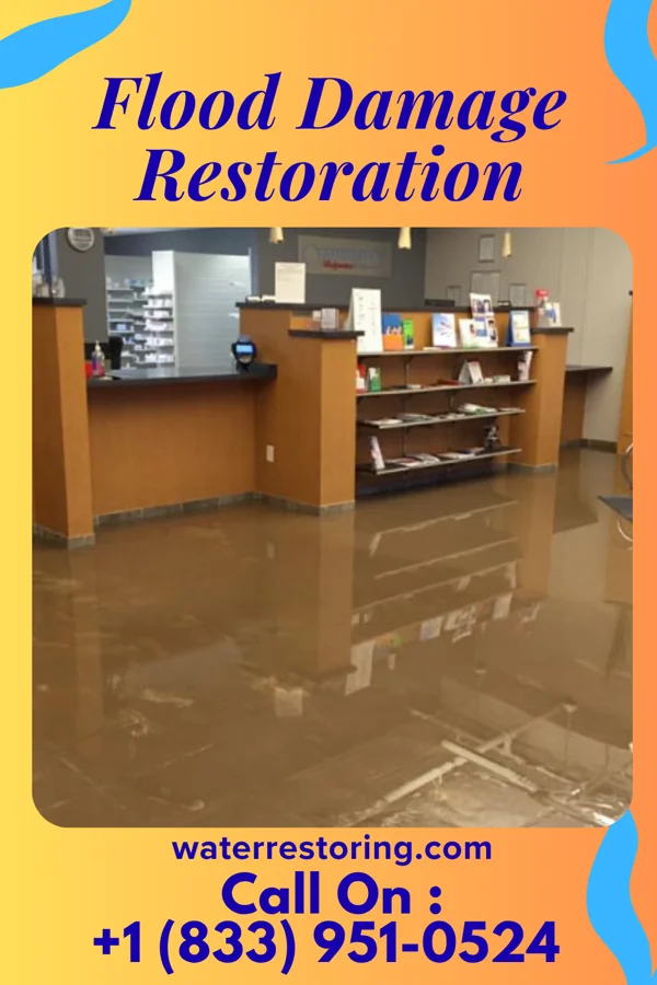 Flood Damage Restoration in North Escobares, TX