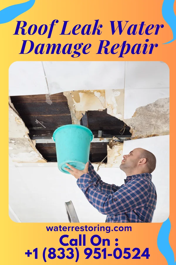 Roof Leak Water Damage Repair in North Escobares, TX