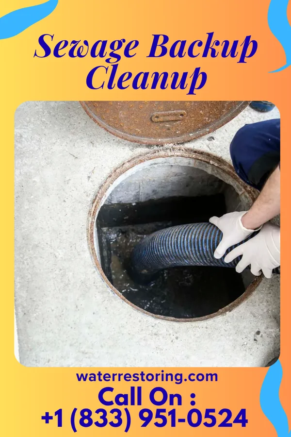 Sewage Backup Cleanup in North Escobares, TX